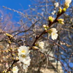 24-12-05 11-02-26 1535